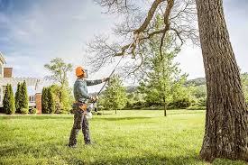 Professional Tree Care Services in Union Springs, AL