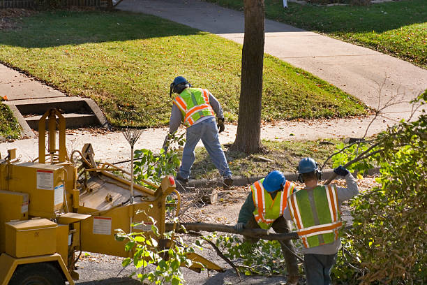 Best Tree and Shrub Care  in Union Springs, AL